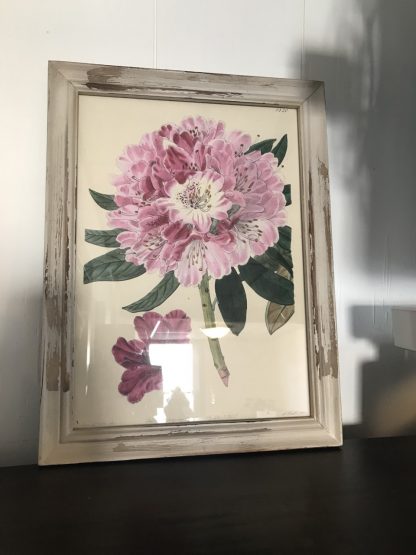 Vintage Flower Picture