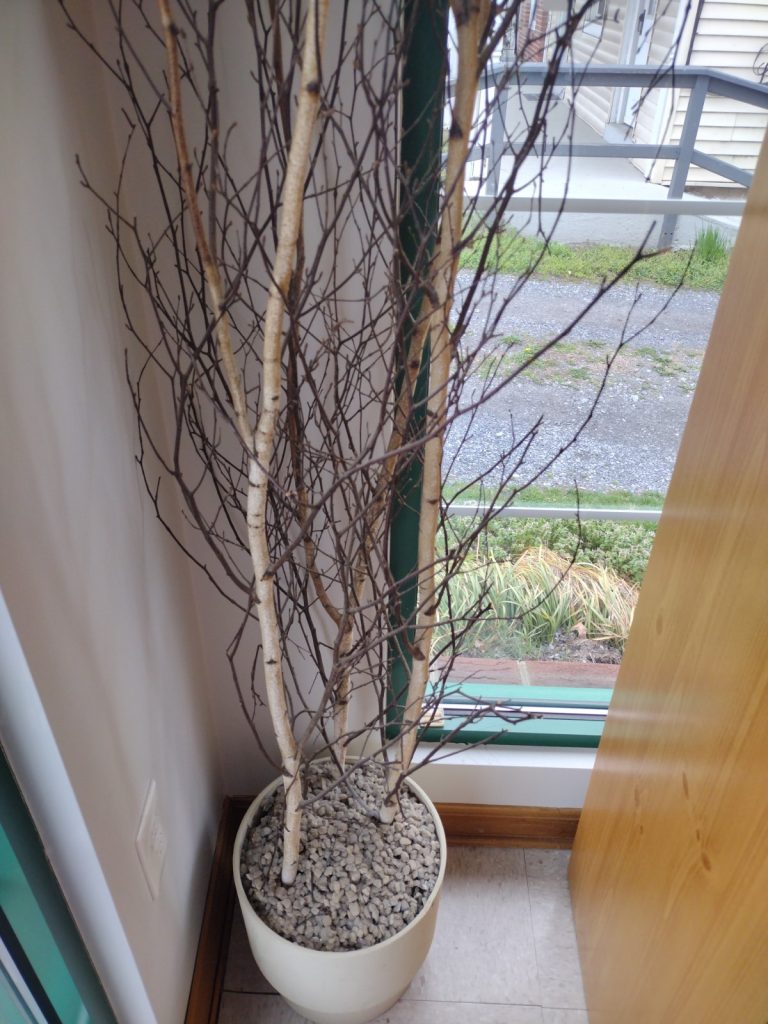 Fake Birch Tree Roth & Brader Furniture