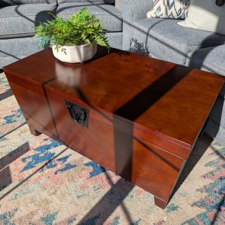 Coffee Table Storage Chest
