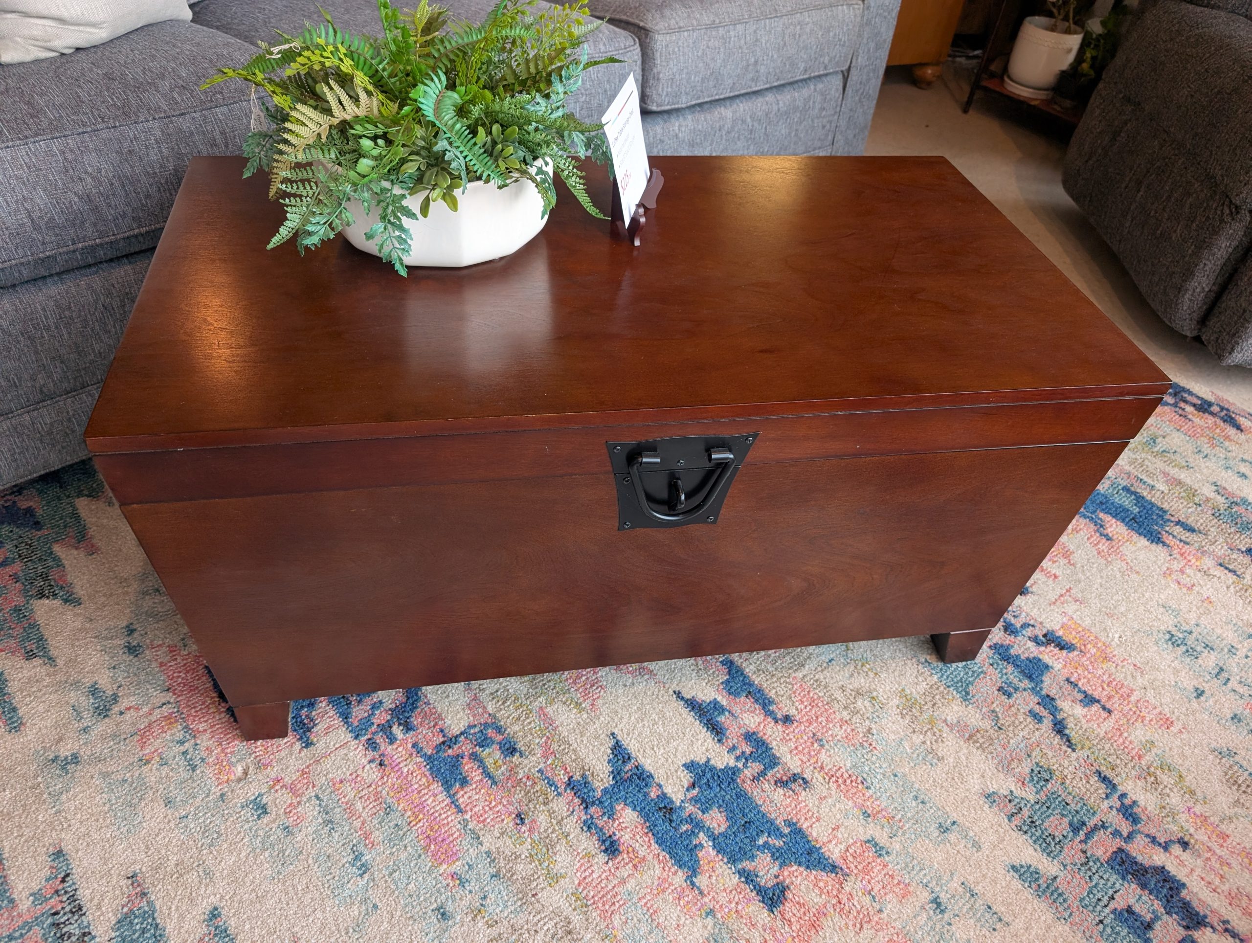 Coffee Table Storage Chest