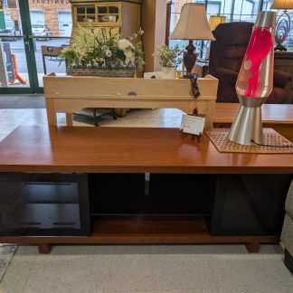 Glass Door TV Stand