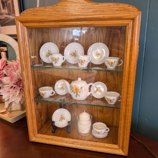 Display Case with Glass Door