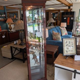 Narrow Cherry Curio